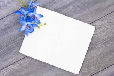 Bir wo yatıyor boş sayfaları ile açık bir not defteri, üst görünümü