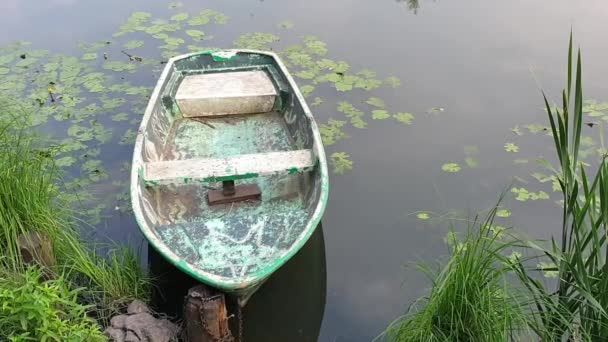 Old wooden box in massaciuccoli lake, tuscany — Stock Video