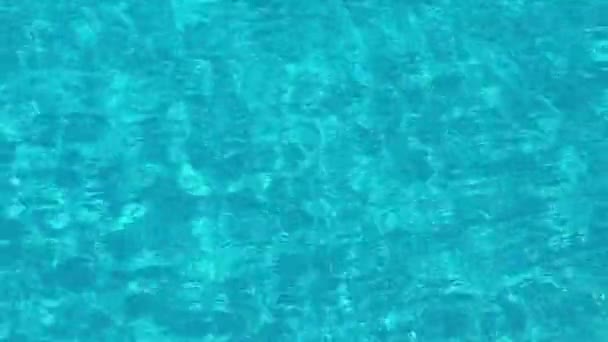 Video Hintergrund Transparentes Blaues Wasser Des Pools — Stockvideo