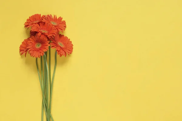 Flores Primavera Laranja Gerbera Flores Buquê Isolado Fundo Amarelo Deitado — Fotografia de Stock