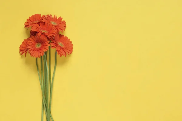 Flores Primavera Ramo Flores Gerberas Anaranjadas Aisladas Sobre Fondo Amarillo —  Fotos de Stock