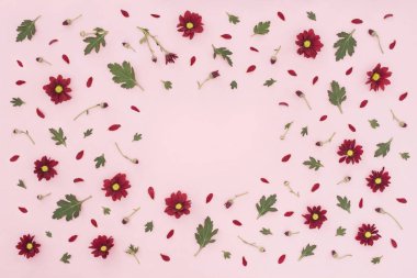 Kırmızı krizantem, pembe arka plan üzerinde yeşil yaprakları yapılmış çiçek desen. Düz yatıyordu, üstten bak. Sevgililer arka plan. Çiçek deseni. Çiçekler desen doku. Yaz konsepti. Metninizi ekleme.