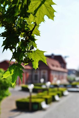 -Prag - Europe aracılığıyla eski chateau yapraklar