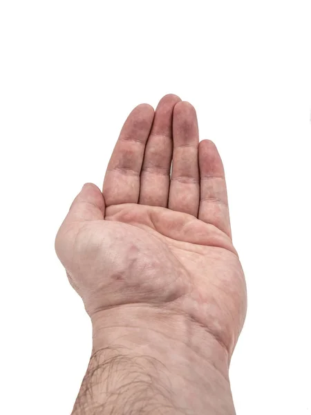 Ludzką ręką pozowanie proste palców i przedramienia na białym tle — Zdjęcie stockowe