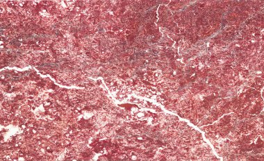 Kırmızı-pembe mermer beyaz damarlı eski bir tabaktan. Doğal arka plan. Doku doğal İtalyan mermer