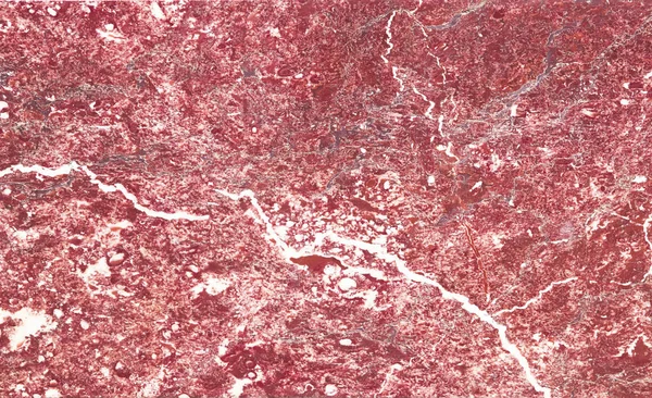 Kırmızı-pembe mermer beyaz damarlı eski bir tabaktan. Doğal arka plan. Doku doğal İtalyan mermer