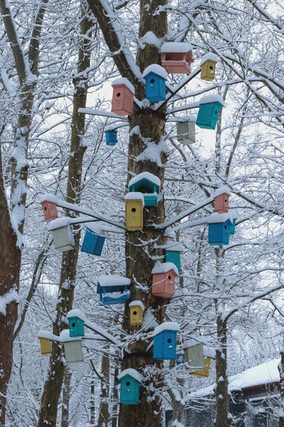 Many bright, painted in red, yellow, blue and other colors, birdhouses, for birds and feeders on the tree. Houses for birds in the winter under the snow on the tree. bird protection