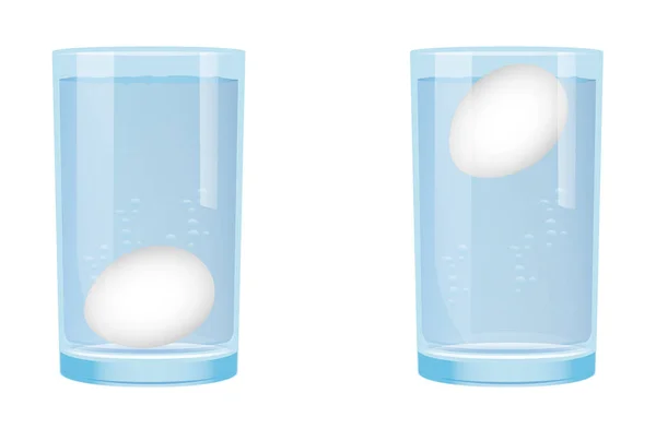 Prueba Flotante Huevo Vaso Agua Science Experiments Alta Resolución — Vector de stock