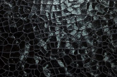 Siyah derili yaşlı bir timsah dokusu..