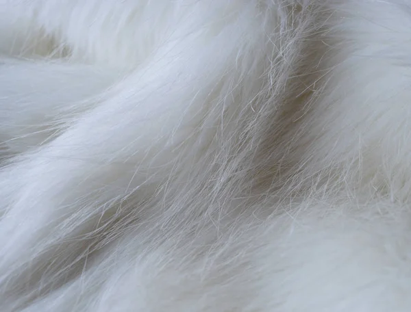 White Fur Texture Abstract Background Copy Space — Stock Photo, Image