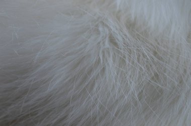beyaz tüylü kürk dokusu arkaplanı