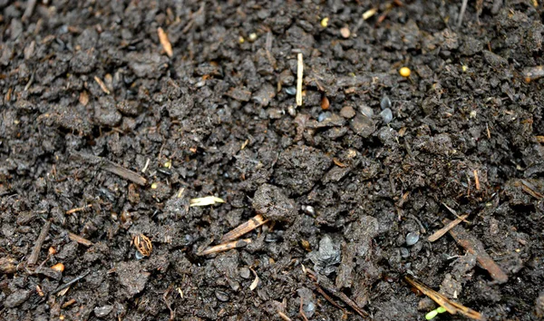 Textura Del Suelo Las Cenizas Montón Tierra Con Pequeño Blanco — Foto de Stock