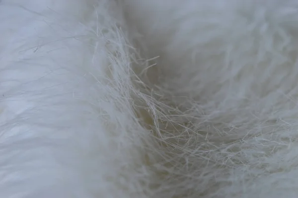 White Fluffy Fur Texture Closeup — Stock Photo, Image