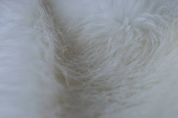 Close White Fluffy Fur Texture — Stock Photo, Image