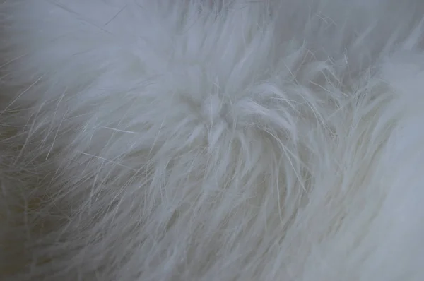 Close White Fluffy Fur — Stock Photo, Image