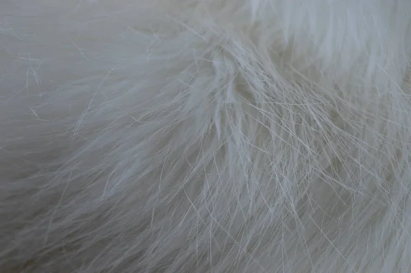 White Fluffy Fur Texture Background — Stock Photo, Image