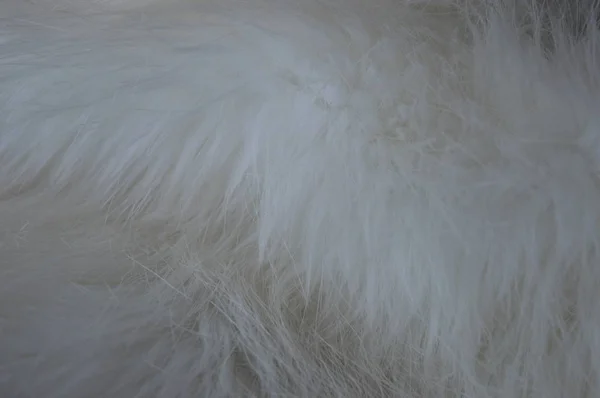 Белый Пушистый Мех Текстуры Закрыть — стоковое фото