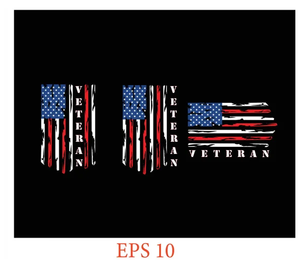 Bandera Estados Unidos Bandera Veterana Bandera Americana Apuros Banderas Estados — Vector de stock