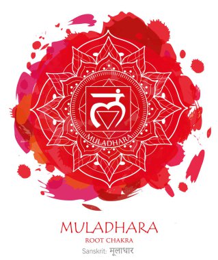 Muladhara, ilk çakra illüstrasyon vektör