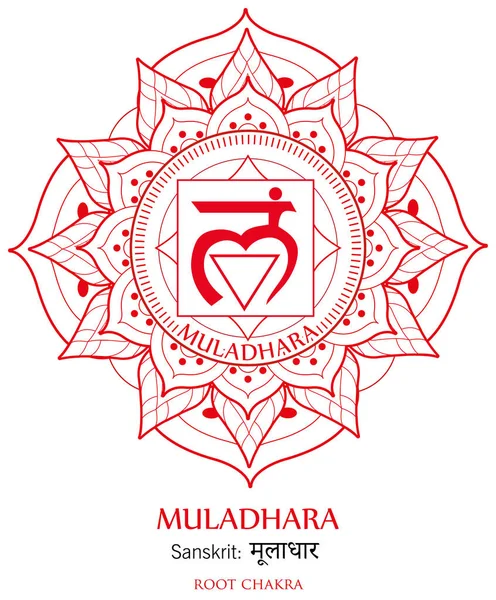Πρώτη Εικονογράφηση Διάνυσμα Muladhara Τσάκρα — Διανυσματικό Αρχείο
