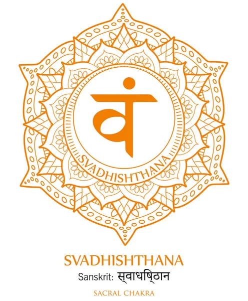 Cakra Kedua Vektor Ilustrasi Svadhishthana - Stok Vektor