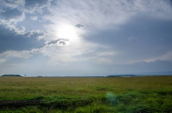 Africa Kenya Landscape Field