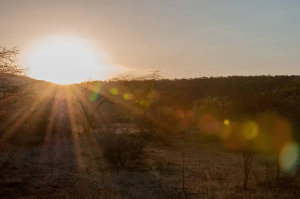 África Kenia Paisaje Naturaleza — Foto de Stock