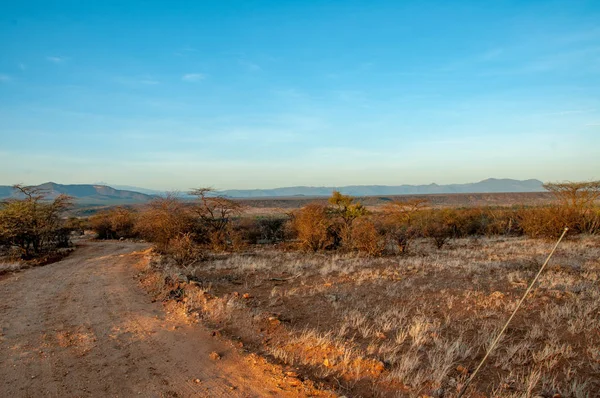 África Kenia Paisaje Naturaleza — Foto de Stock