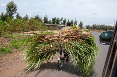 Afrikalı Zenci Nisan 2011 Western Kenya Doğu Afrika, yol boyunca ağır yüklü bir bisiklet sürme
