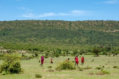Kenya, Afrika'da sığır çoban