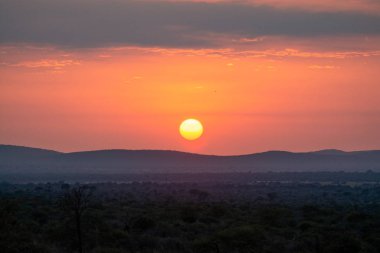 Günbatımı Savanna, Güney Afrika