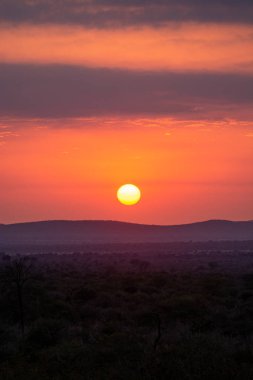 Günbatımı Savanna, Güney Afrika