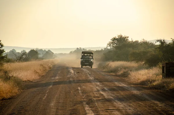 Turismo Safari Jeep Buscando Animales Africanos Parque Nacional Kruger Sudáfrica — Foto de Stock