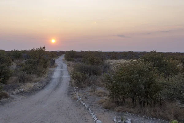 Δρόμος Κατά Ηλιοβασίλεμα Στη Ναμίμπια Σαβάνα — Φωτογραφία Αρχείου