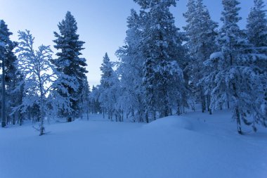 Finlandiya, lapland kuzeyinde soğuk kışın