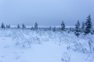 Saariselka, Finlandiya'da kutup gece boyunca donmuş manzara