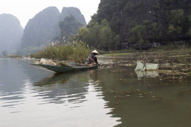 Ninh Binh, Vietnam - 30 Aralık 2016: Vietnam çiftçi alan çalışır. Manzara ve hedefleri Ninh Binh, Vietnam seyahat. 