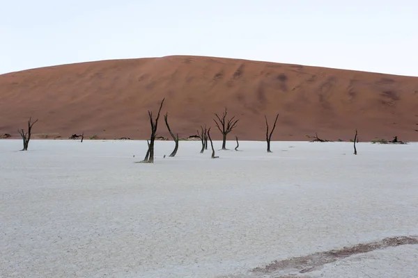 Deadvlei Início Manhã Namíbia — Fotografia de Stock