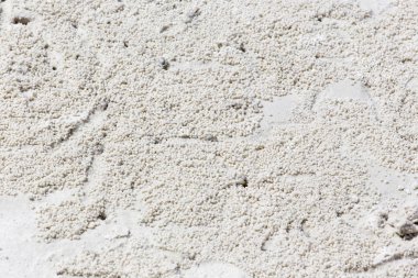 Kamboçya'daki bir tropikal Beach plaj yengeç işaretler