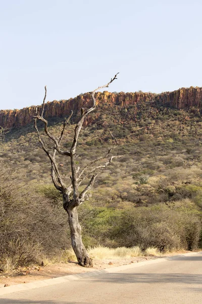Vista Platô Waterberg Namíbia Sul África — Fotografia de Stock