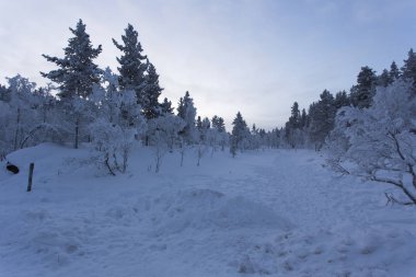Kış aylarında Lapland manzarada Finlandiya