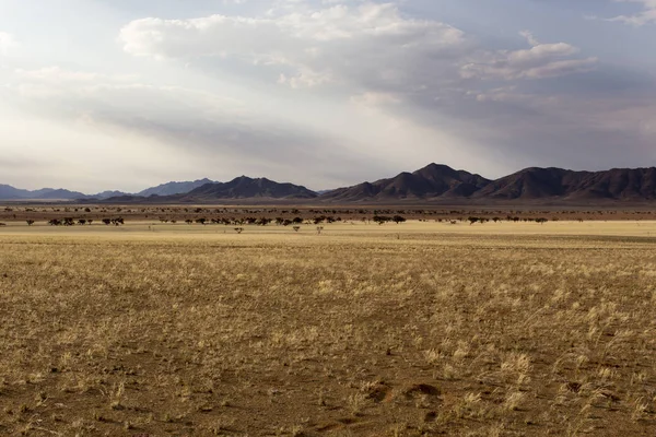 Namibie Krásná Krajina Zimě Srpen — Stock fotografie
