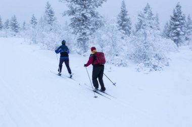 Saariselka, Finaland - 31 Aralık 2017: Lapland faaliyetlerine Kutup gecelerinde spor