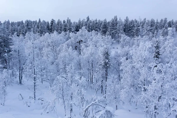 Het Landschap Van Lapland Winter Finland — Stockfoto