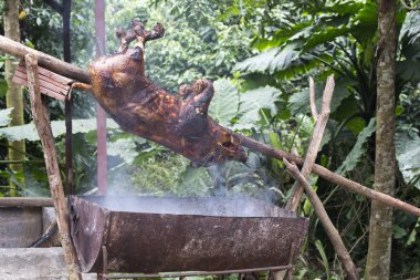 Vietnam 'da kömürde kızartılan küçük bir domuz.