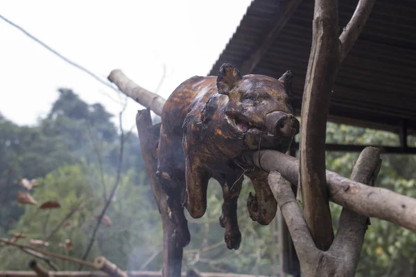 Een Klein Varken Wordt Gebarbecued Houtskool Vietnam — Stockfoto