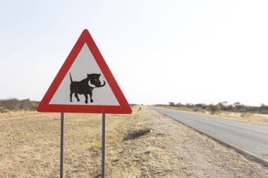 Kalahari Çölü, Namibya - Ağustos 05, 2018: Namibya yola tehlikede vahşi domuz yol işareti