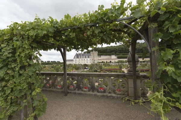 Вилландри Франция Августа 2015 Замок Дворец Chateau Villandry Расположен Вилландри — стоковое фото