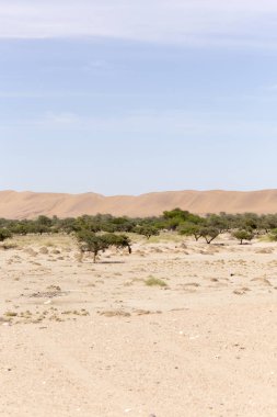 Namib Çölü görünümü, kum ve çalılar üzerinde mavi gökyüzü