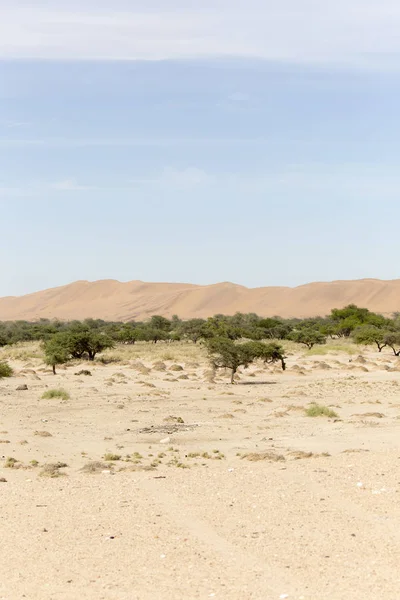 Vista Deserto Namib Areia Arbustos Sobre Céu Azul — Fotografia de Stock